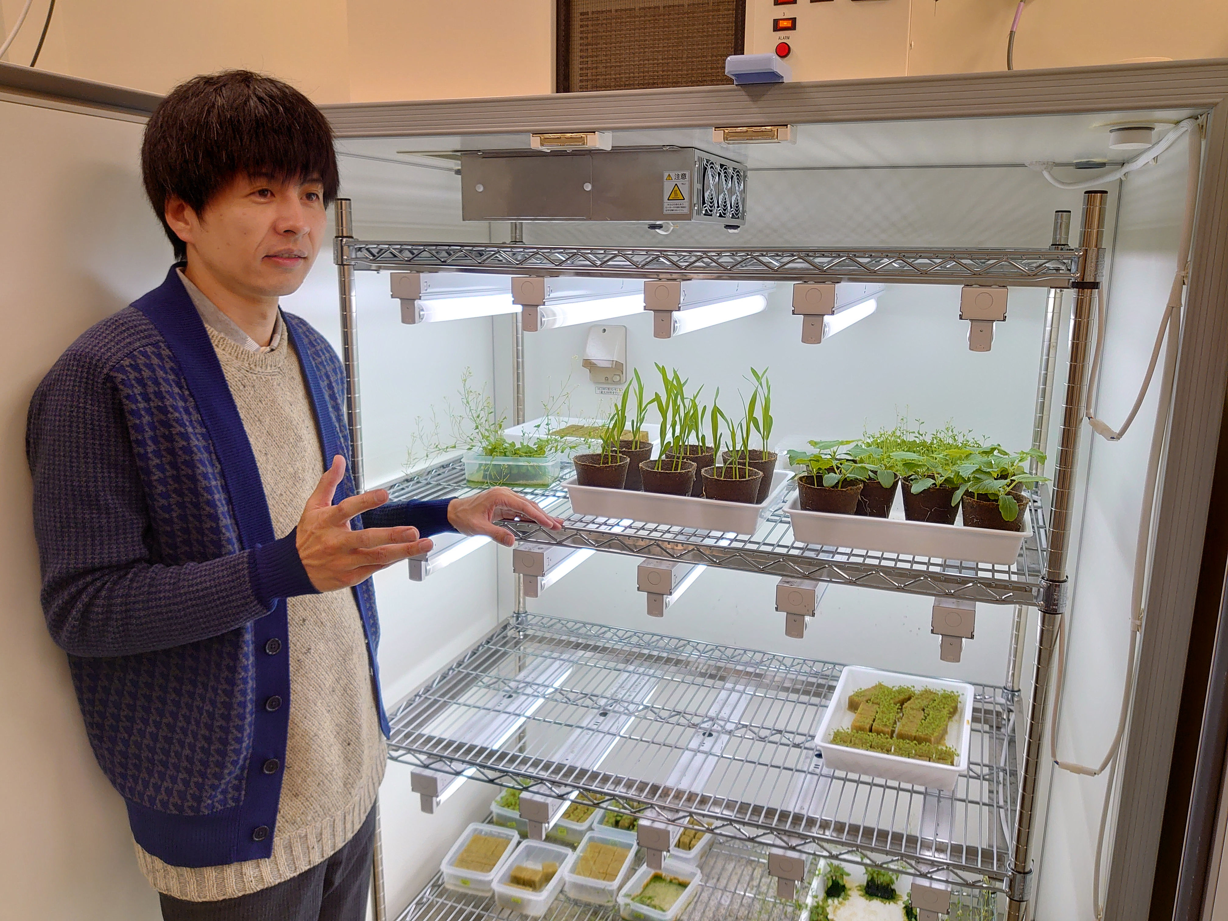 人工気象器を用いて植物を育成している様子