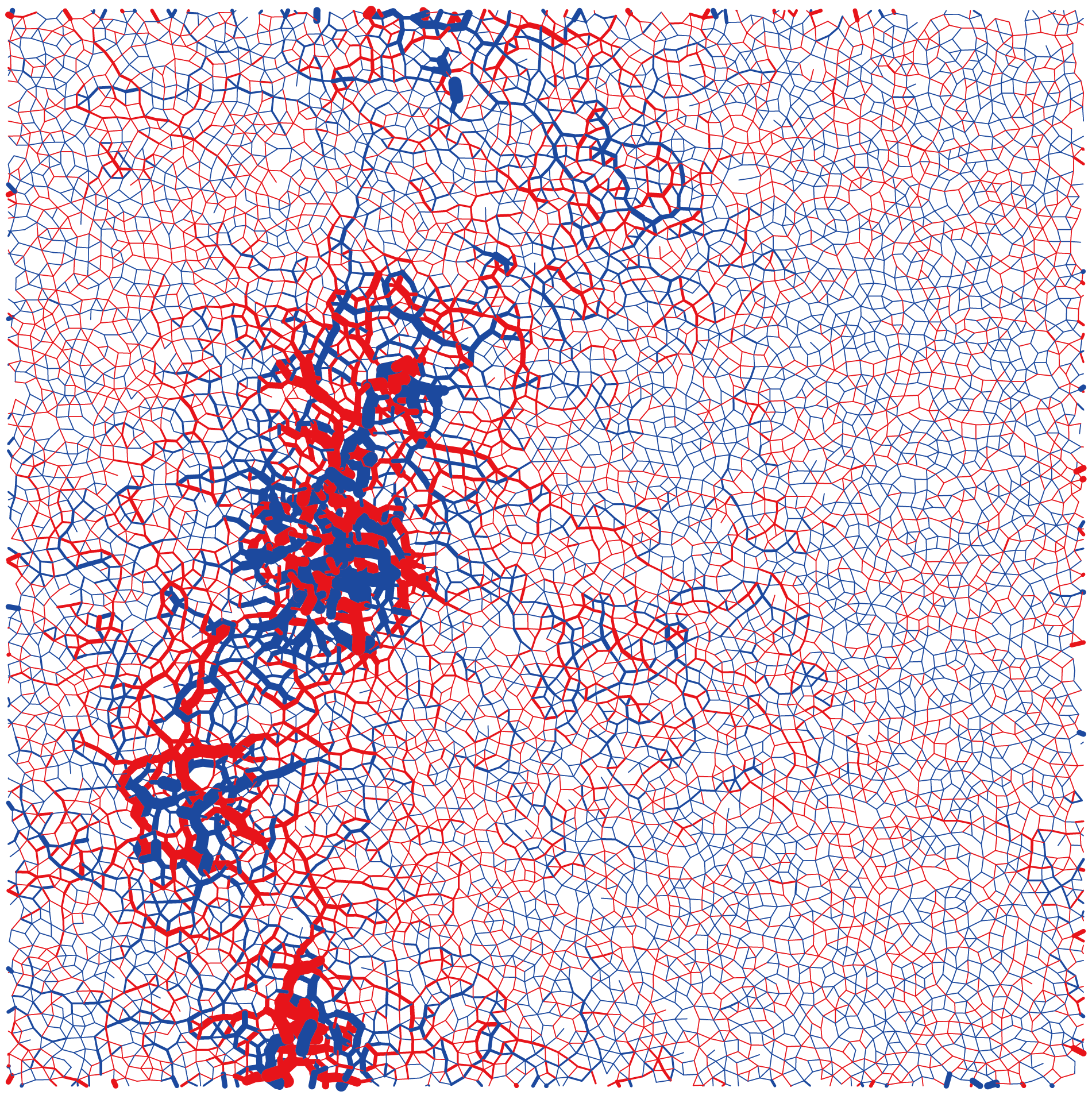せん断変形で降伏した粒子系の数値シミュレーション。実線が粒子間に働く力のネットワークであり、降伏によって力が増えたものを赤色、減ったものを青色で表しています（図では粒子自体は描かれていません）。また、線の太さで力の増減を表しており、降伏によって力の変化がある特定の領域に集中することが解ります。
