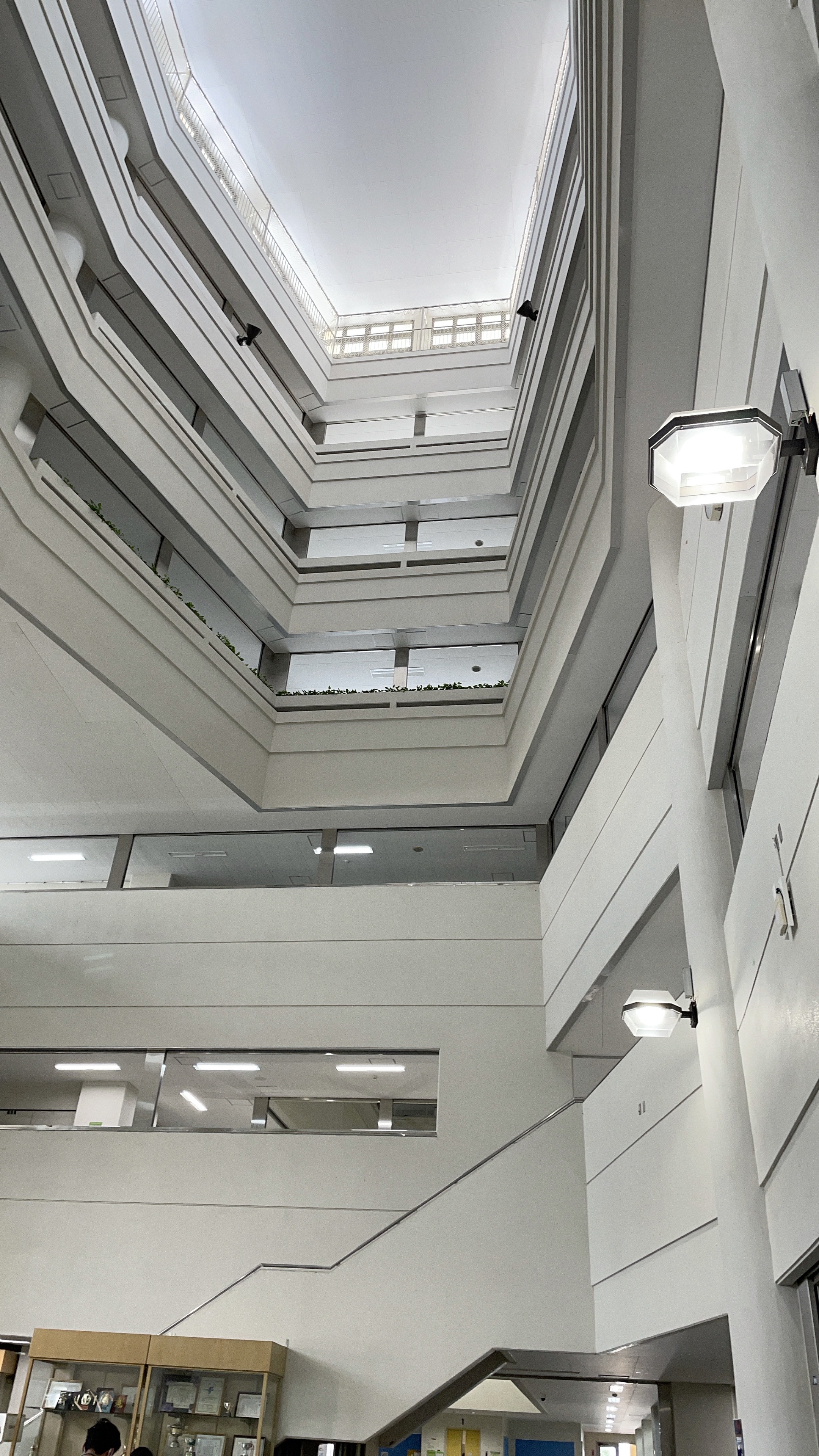 研究室のある沖縄国際大学5号館棟