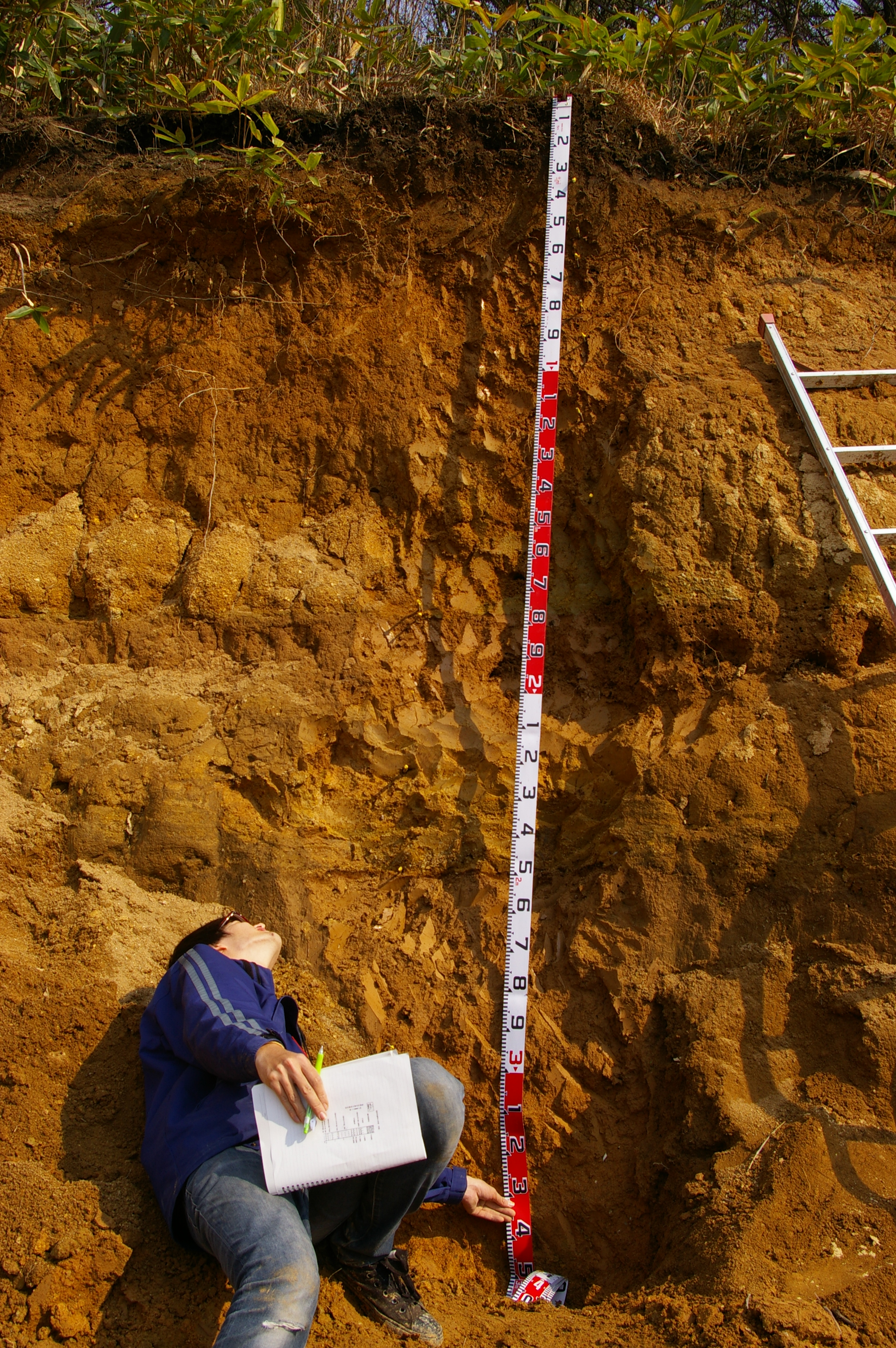 島根県雲南市で撮影した、黄砂と火山灰が積もった土のプロファイルです。黄砂だけでも2メートルは堆積していると見積もっています。