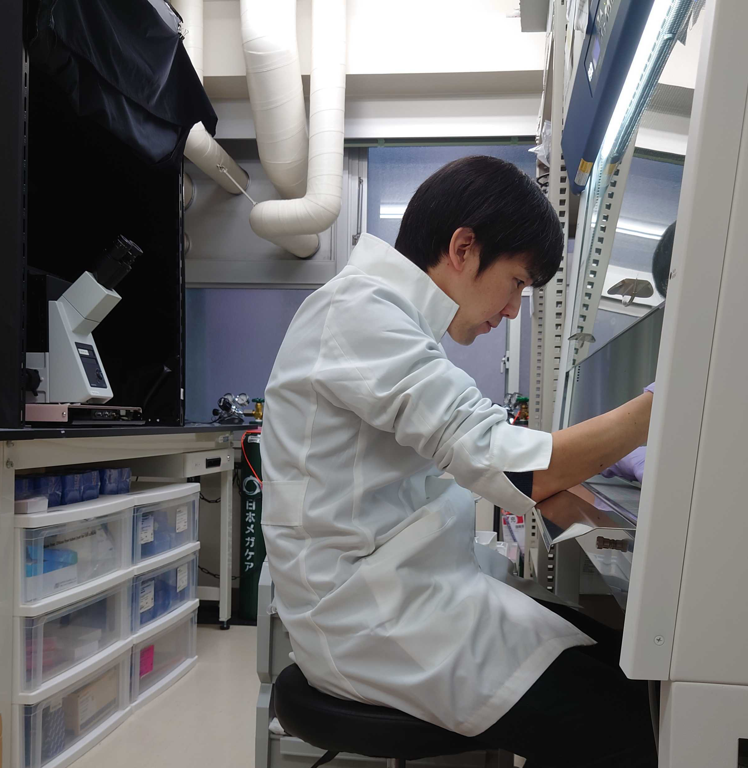 細胞操作を行うスペースでの作業の様子