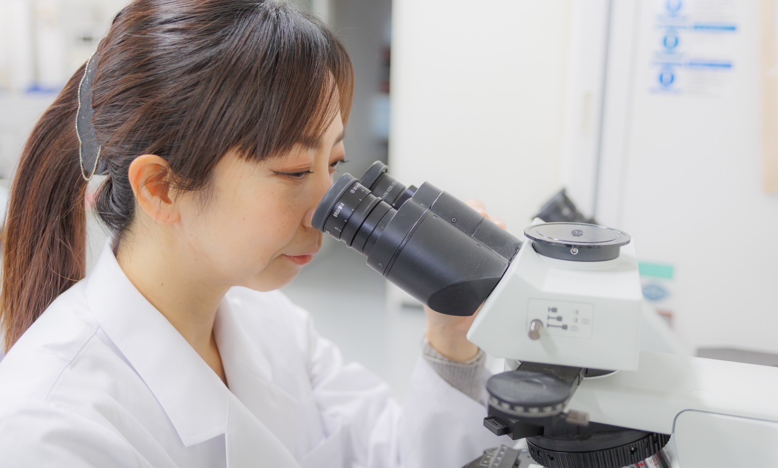 培養した細胞を用いて、調製した薬が効いているか評価しています。