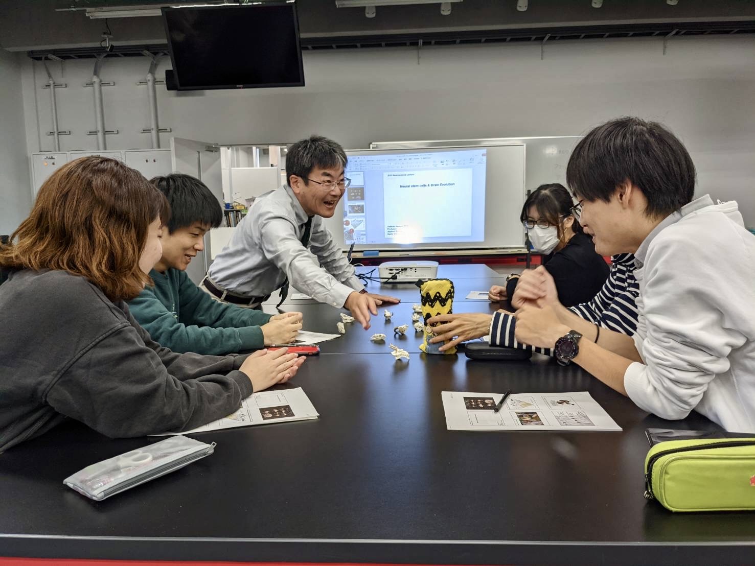 学生さんに頭骨標本の模型を見せながら進化発生学の講義をしています。