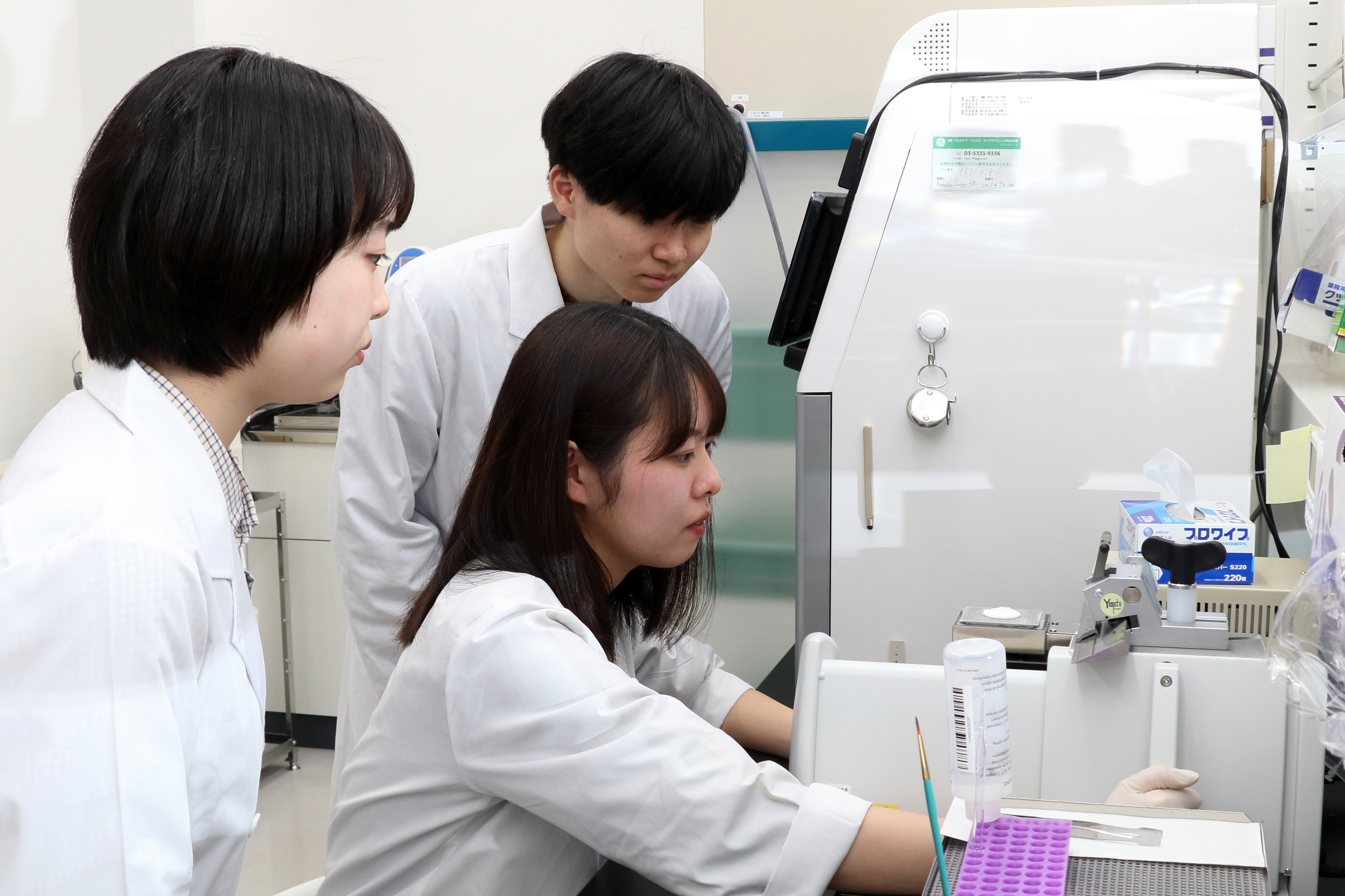マウスの脳切片を作製しています。