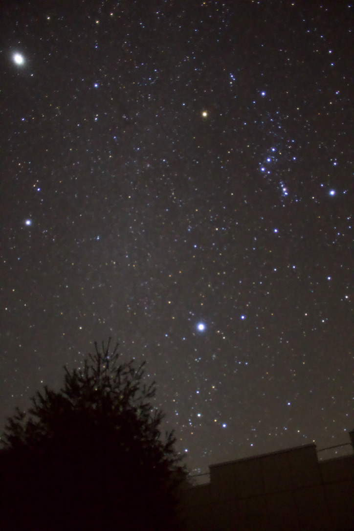 天文学の観測所はたいてい暗い場所にあるので、夜空を見上げると肉眼でも多くの星が見えて、小さい頃に抱いた宇宙への興味を思い出させてくれます。これは長野県にある木曽観測所で観測しているときに、夜に外に出て自分の小さなカメラで撮った写真です（実際の研究はこのような画像で行うわけではありません）。ちなみに、星座はほぼ全く分かりません。