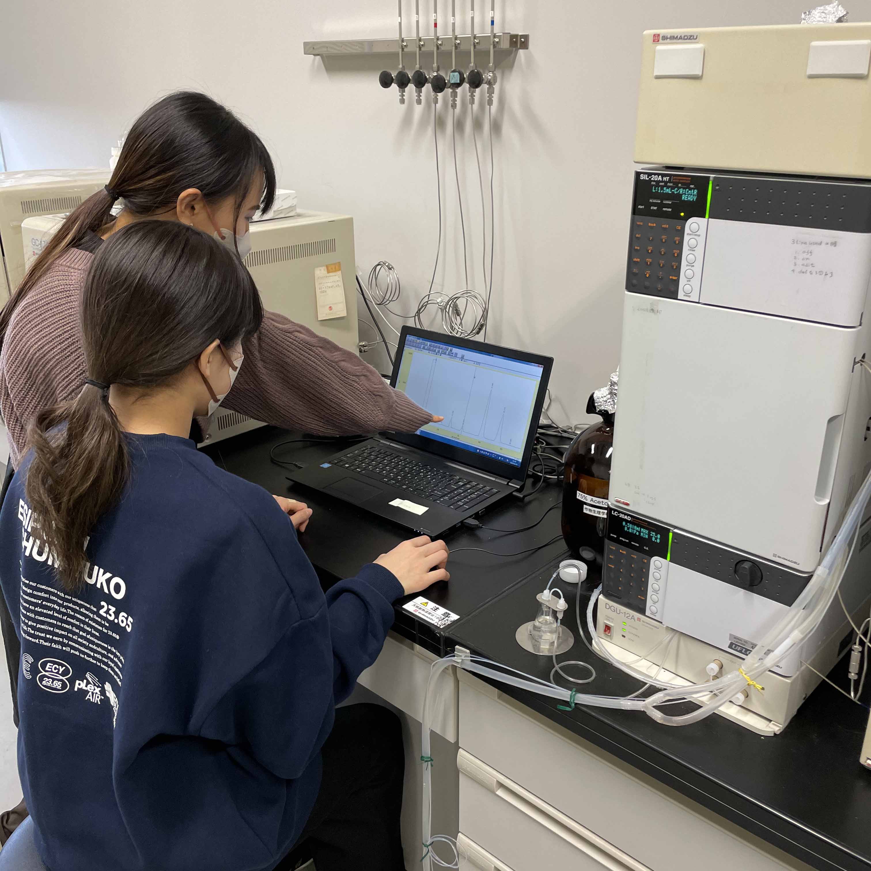 糖の分析は高速液体クロマトグラフィー(HPLC)で行います。11月に自分たちで収穫したサツマイモを用いて様々な処理や実験を行い、糖の分析は12月にまとめて行います。学部2年生の学生実験でも使用しています。古い機械ですが頑張ってくれています。
