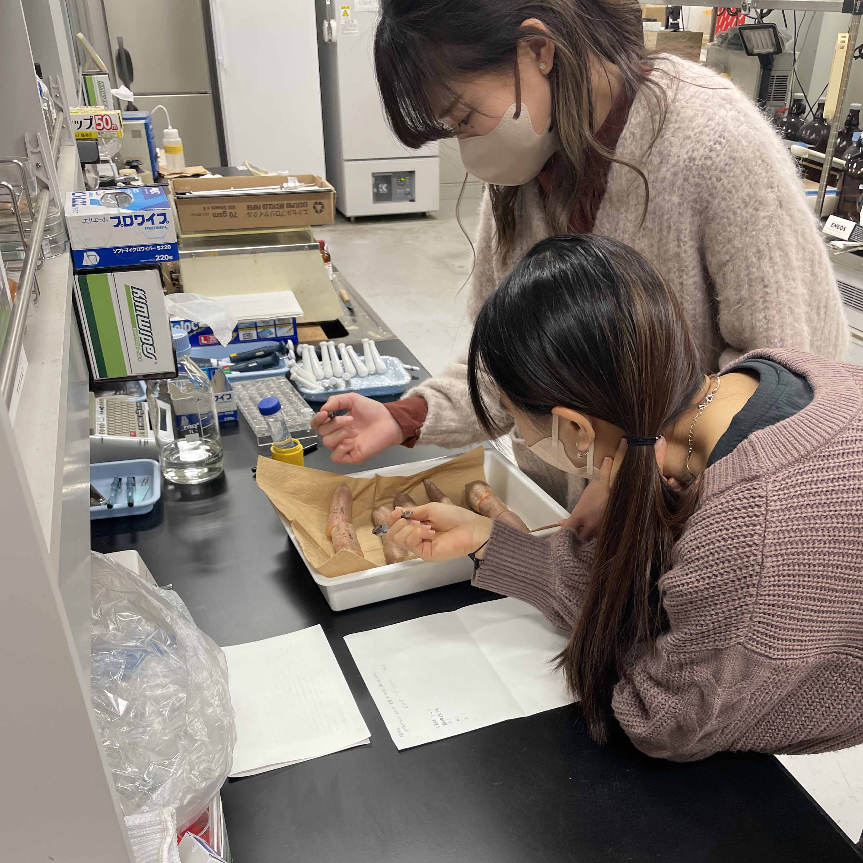 調査の様子。学生さんもアイディアを出しながら研究を進めていきます。ついつい口をはさむとうるさがられてしまうため、先生は呼ばれるのを静かに待っています。