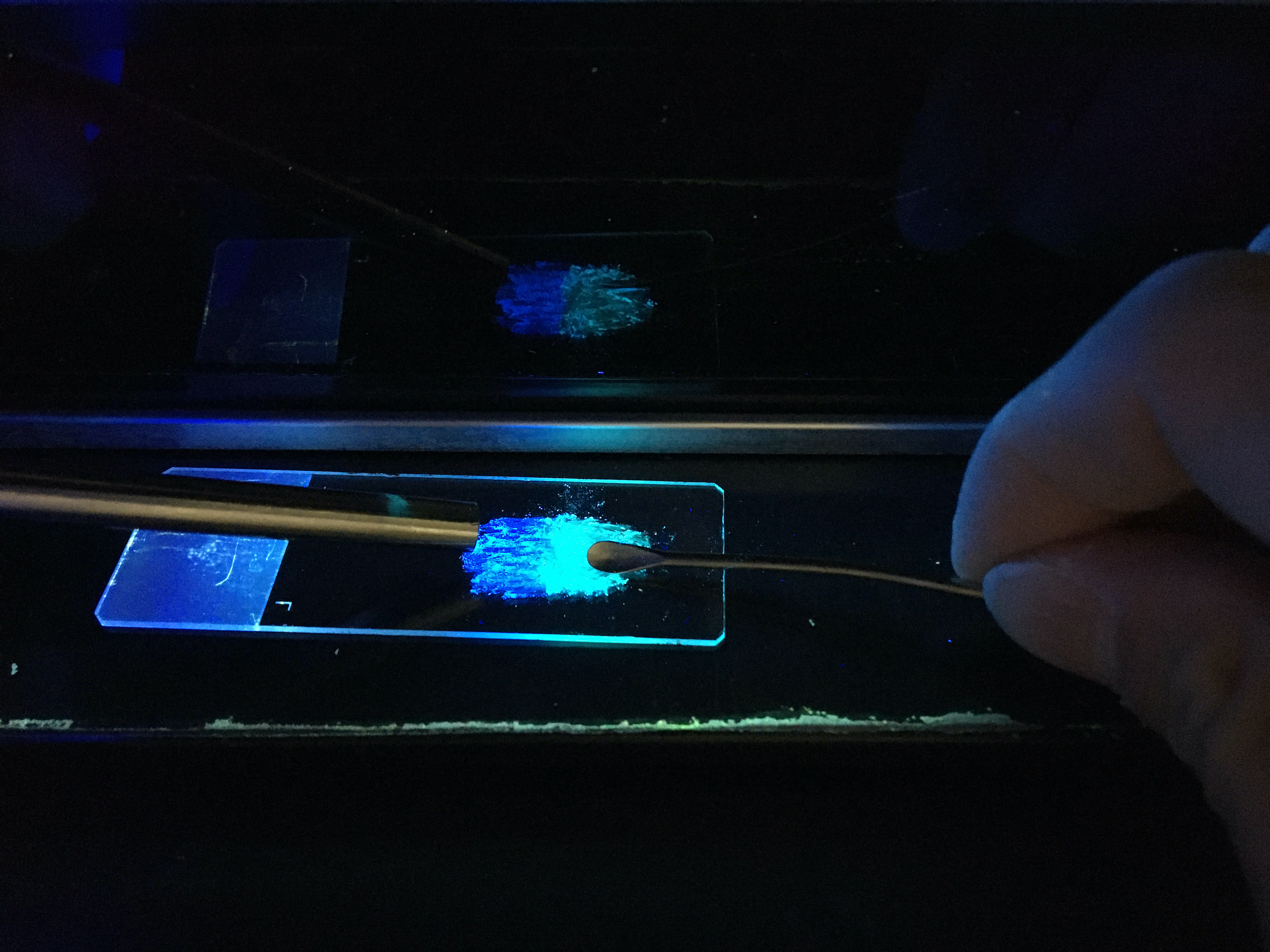 こすると発光色が変わる有機分子