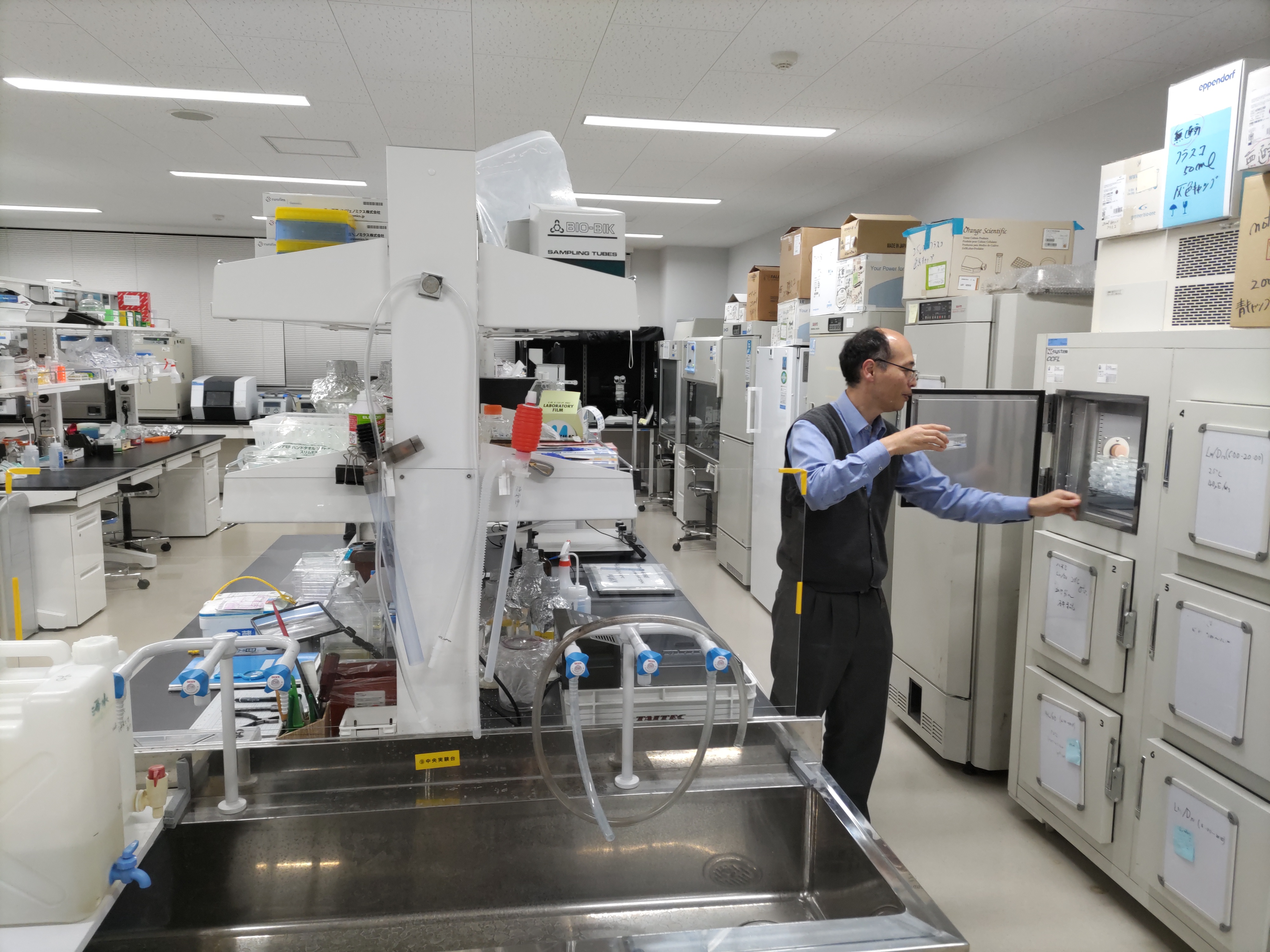 実験室の様子。有殻アメーバの培養フラスコを培養庫から取り出しています。