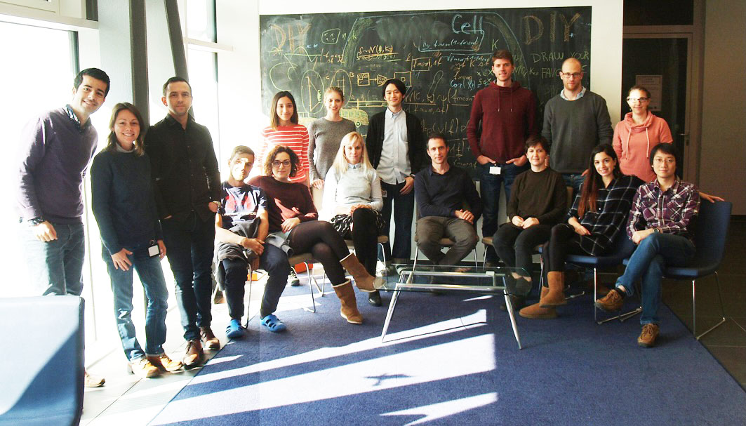 オーストリアのInstitute of Science and Technology Austriaという研究所で研究していた頃の写真です。写真中央で座っている方が研究室主宰者のCarl-Philipp Heisenberg博士で、生物物理学の分野で世界をリードしている研究者です。色々な国から来た研究者と日々一緒に実験したり、議論をしていました。研究所はウィーンの近くにあり、演奏会に出掛けたり色々な人と楽器を弾いたりと研究以外の面でも楽しい日々を過ごしていました。