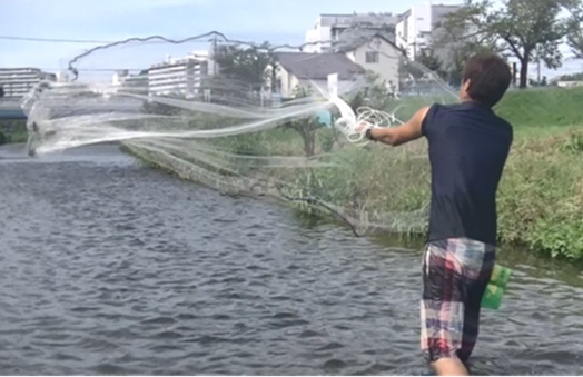 投網を使った魚類調査の風景です
