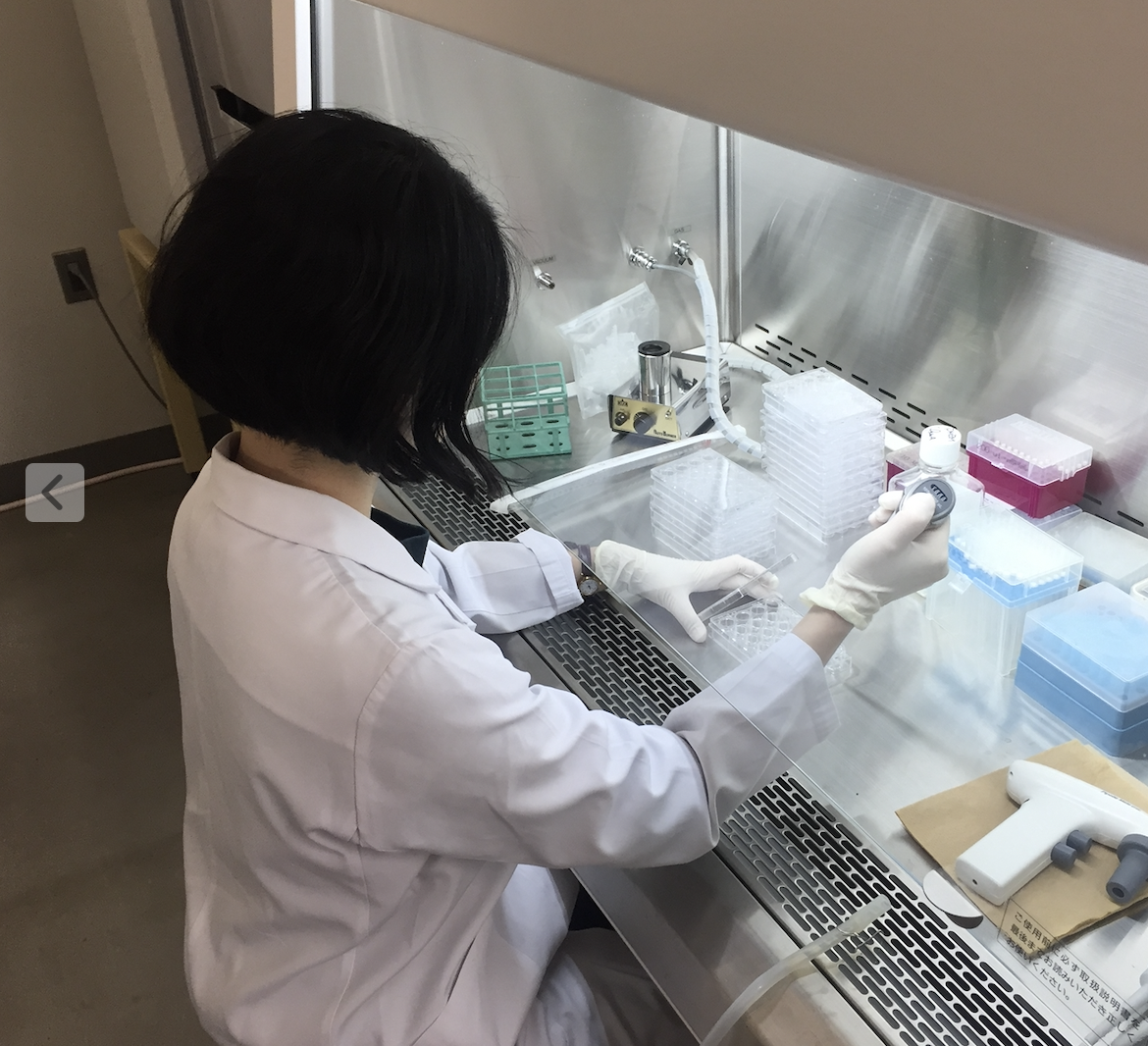 ウイルスを培養するための細胞を撒くお皿を準備しているところです。