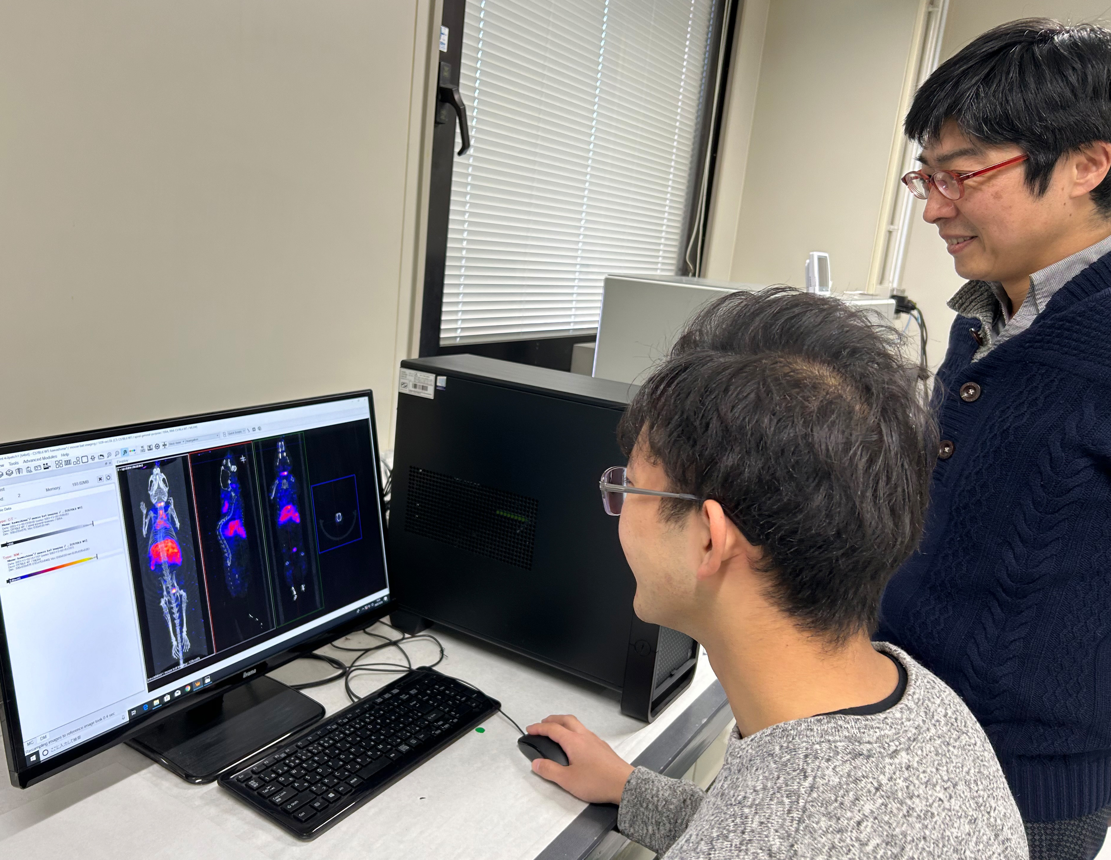 マウス体内の放射能分布を解析しています。CT（骨格）との重ね合わせ画像です。