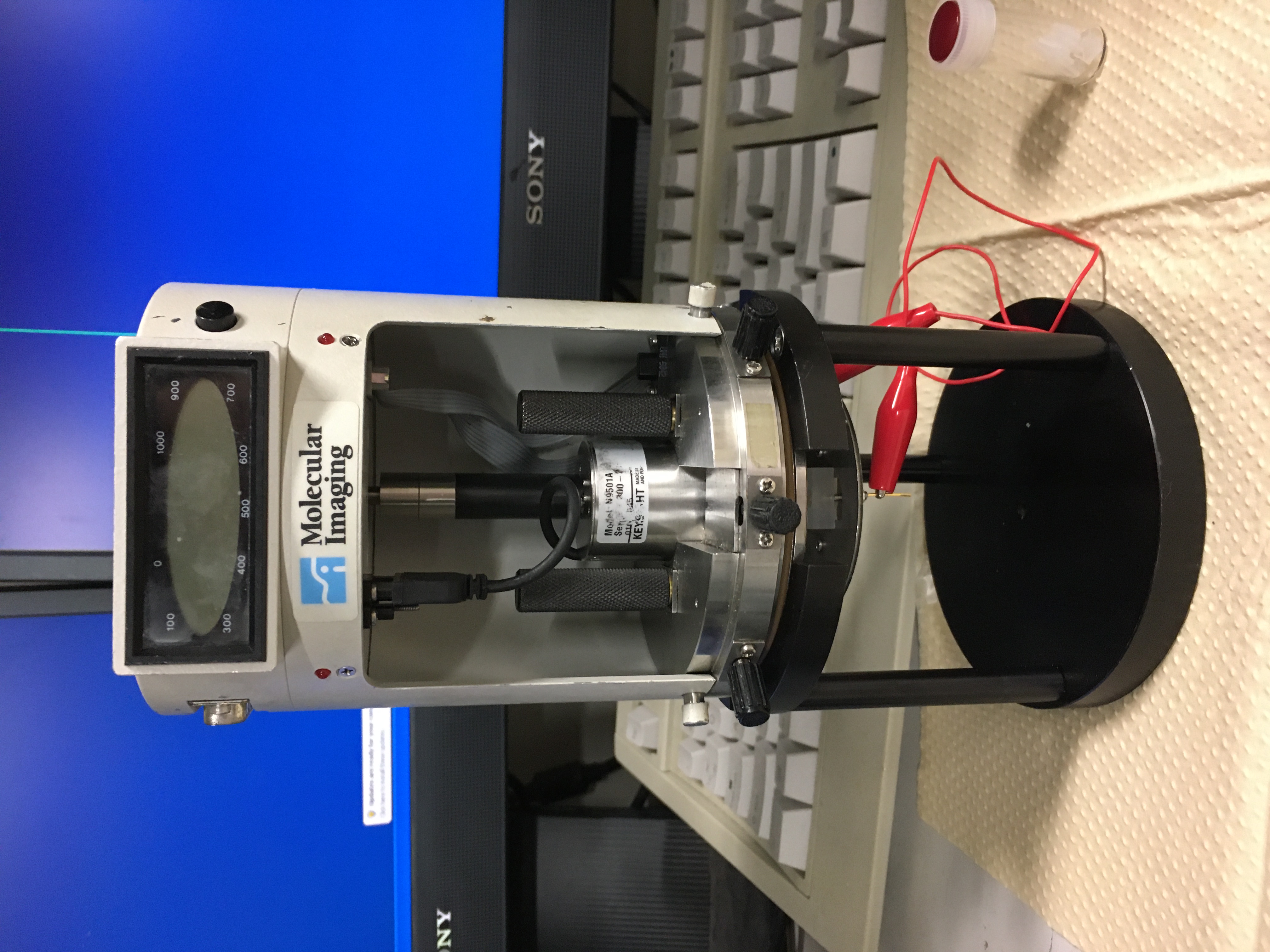 一分子の電気伝導度を測定することのできる走査型電子顕微鏡