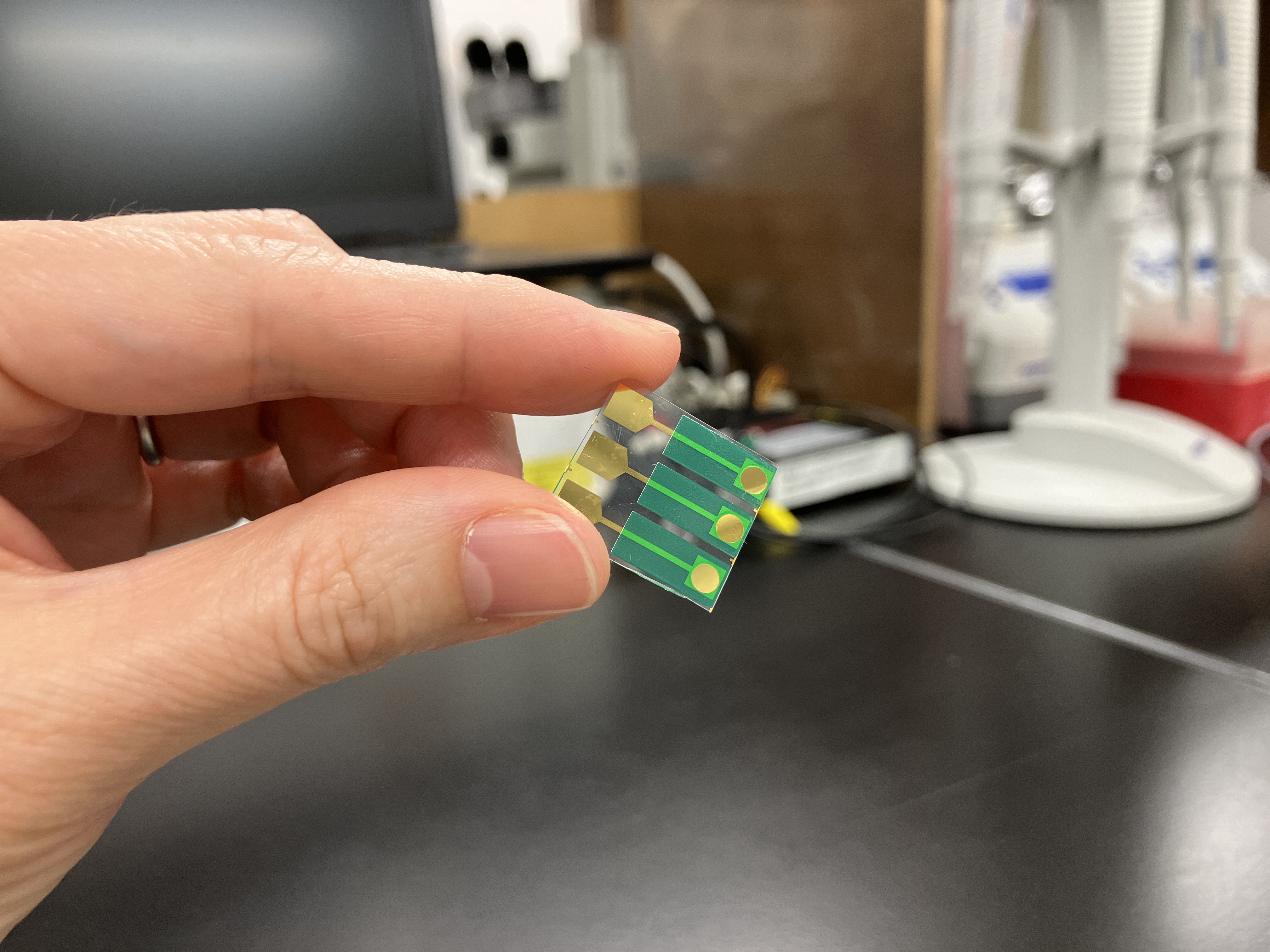 電極の様子。丸い金色の部分に環状ナフタレンジイミドを固定化します。