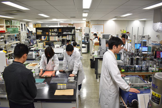 科研費の研究では有機物が入ったスラリーを扱っていますが、研究室ではセラミックスや電池電極など、様々なスラリーを扱っています。一番手前は電池の電極を作っているところです。