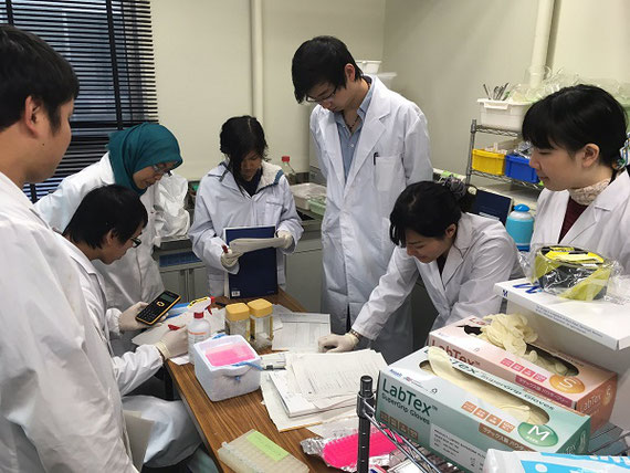 実験室で先輩が後輩に分析を教えている様子
