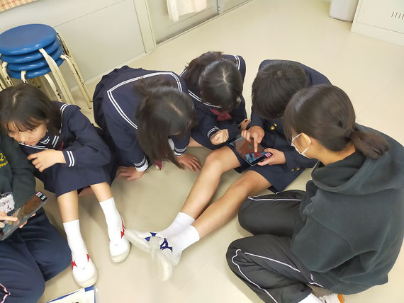 小学校での授業実践の様子