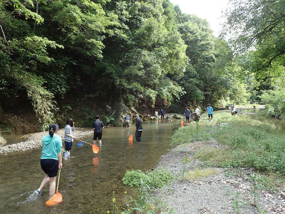授業で、水生生物を用いた環境診断調査を行っているようす