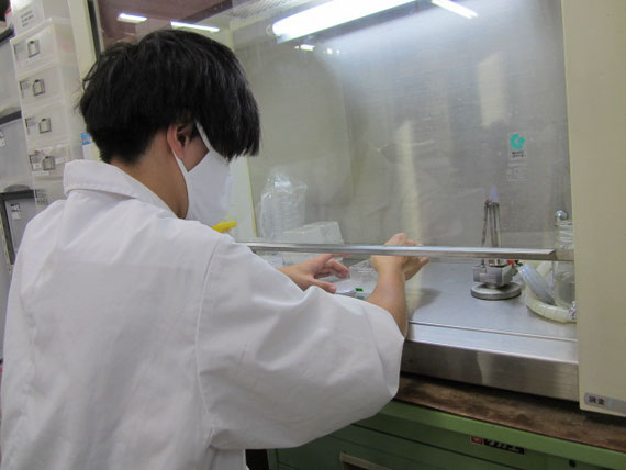 植物を無菌状態で栽培するために、学生がクリーンベンチで無菌操作をしています