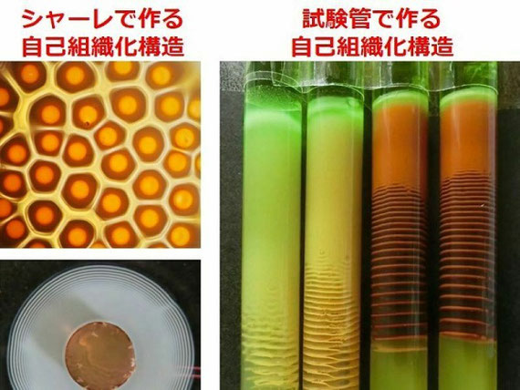 シャーレで作る自己組織的な模様と、試験管で作る自己組織的な模様の一例です。どちらも、数学的な法則に従って、分子たちが自ら模様を描いているのです。そして、これらの模様ができる機構を解き明かすことこそが、生命や宇宙などで同様の模様ができる法則を解き明かすことにつながっていきます。