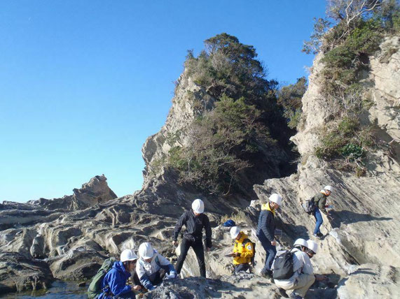 三浦半島での地質調査の実習風景。写っているのは2年生です。