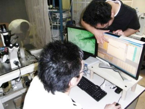 パッチクランプ実験。研究室の学生が単一の神経細胞を顕微鏡で捉え、ロボットアームで電極を神経細胞に当て、電気活動を記録し、シナプス可塑性などを解析している様子。