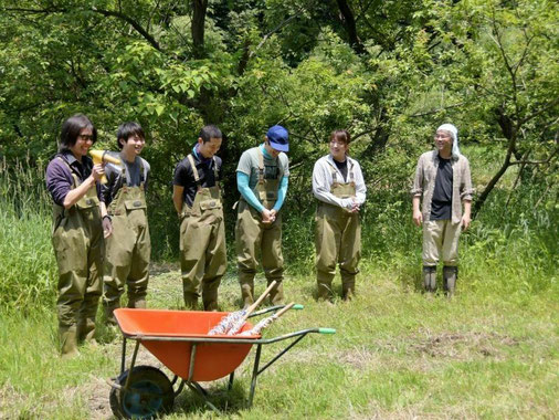 イモリの自然繁殖施設「いもりの里」（取手市）の田植え活動の際の写真です。いもりの里の活動については、http://imori-net.org/をご覧ください。昨年はコロナ禍のためほとんど活動できませんでしたが。