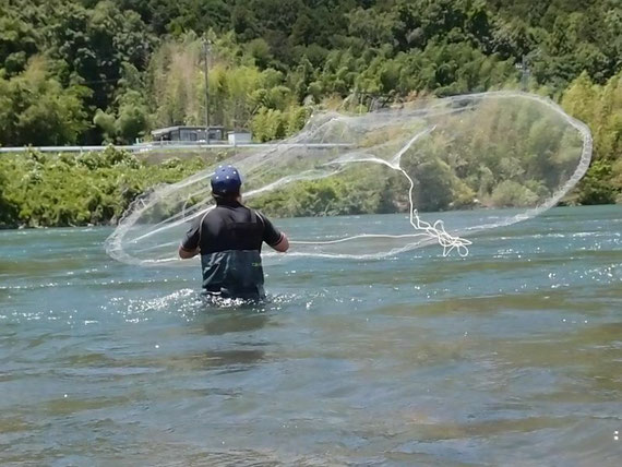 色々な方法で淡水魚の採集をします