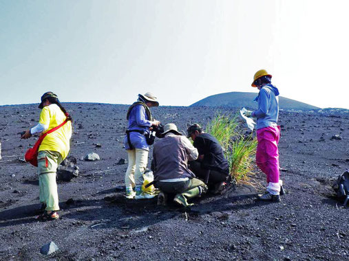 インドネシアの絶海の無人島クラカタウ火山での試料採取。火口付近で生育する植物の生存を支える菌根菌の生態を調べる。インドネシアの研究所スタッフ（中央の二人）の協力を得て留学生（その左側）と日本人学生（右側）が共同で解析にあたる。