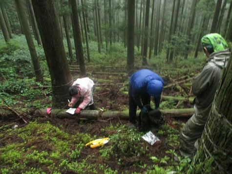 森の中での微生物調査、土壌を採取。目に見えない微生物を調べるために、森の中に分け入って、樹木の根やその周辺の土壌を採取します。