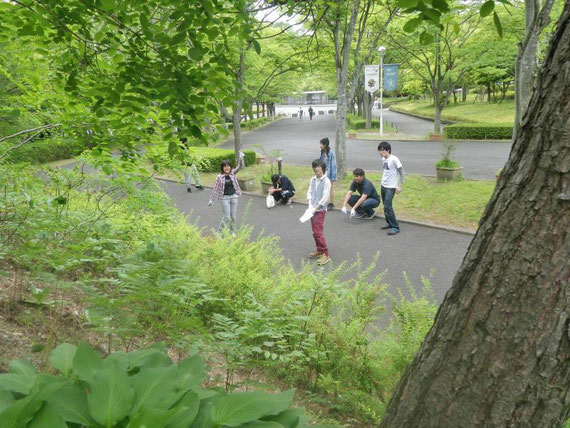 近畿大学農学部キャンパスでのシロアリ調査。左斜面にシロアリ調査用の装置が埋めてあり、これから調査するところ。