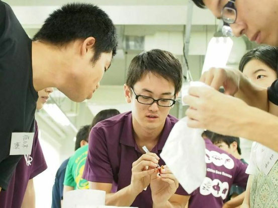 生理学の学生実験。魚類の脳から組織を取り出しているところです。