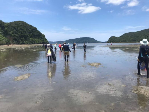 長崎丸調査。西表島舟浮湾クイラ川河口干潟に上陸後