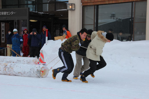 地域研修の一コマ(北海道、2018年2月) ゼミ生が丸太を引っ張る様子