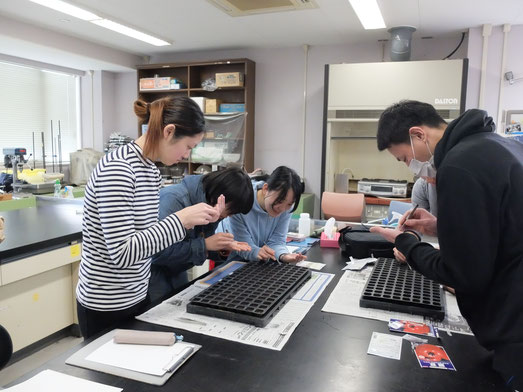 研究室恒例、春の種まき講習会
