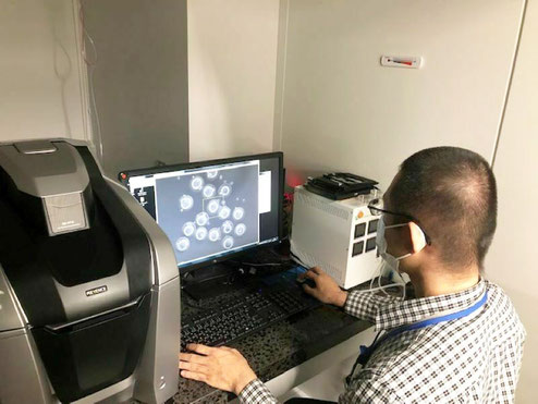 研究室での実験の様子（顕微鏡観察）