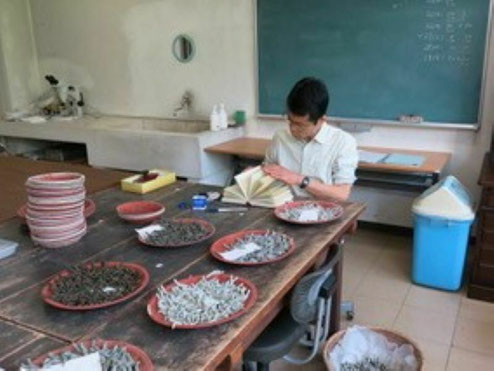 幼虫調査：九大で保存しているカイコを形質調査して、記録帳に記録しているところです。