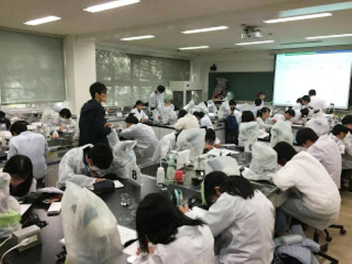 高校生向けシロアリ腸内共生微生物の観察実習