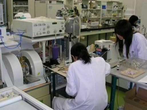 実験動物測定用のESRを用いた卒業研究生の実験風景