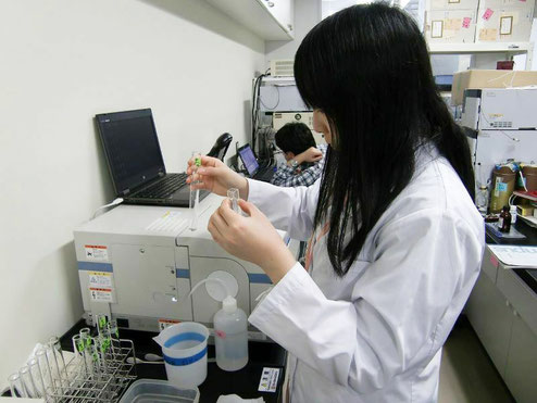 卒研の様子