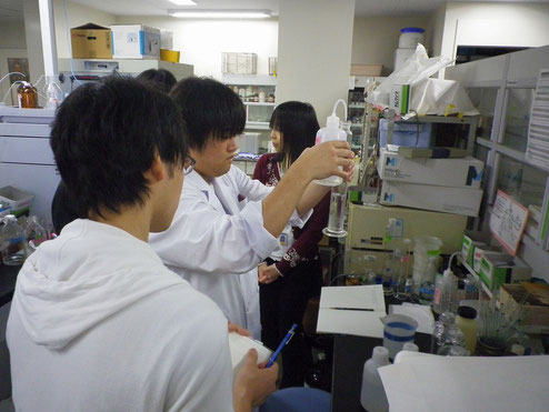 卒研の様子