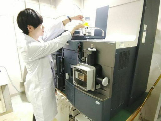 私達が生体成分の超微量分析に使用している質量分析計です。分子量の僅かな違いを利用して、血液や尿などの生体試料成分を数百種類同時に10兆分の1グラムのレベルで分析できます。