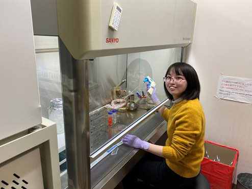 心筋細胞を培養しながら電気刺激して不整脈の状態を作り、そのときに細胞から放出される細胞外小胞をフローサイトメーターで評価（大学院の修士学生が担当しています）