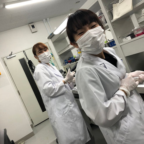 実験室でも感染症対策を実施しながら、疾患モデルとなる動物を使って、できる限り卒業研究をおこなっています。
