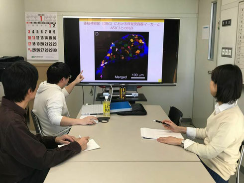 大学院生の学会発表の予行を行っているところ。厳しい指摘が入ることがあります。
