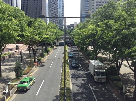 新宿副都心・都庁の周辺